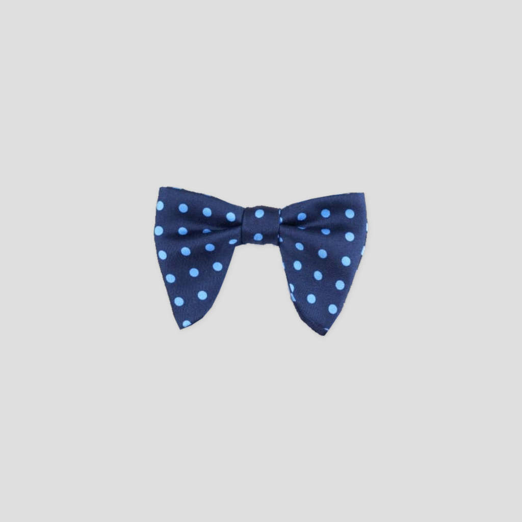 Nœud papillon bleu ciel à pois soie imprimée, Le Plongeant, présenté de face sur fond gris clair.